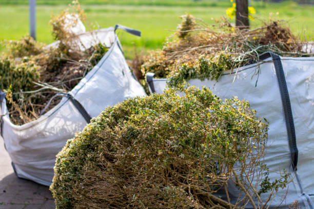 Attic Cleanout Services in Carlisle Rockledge, AL